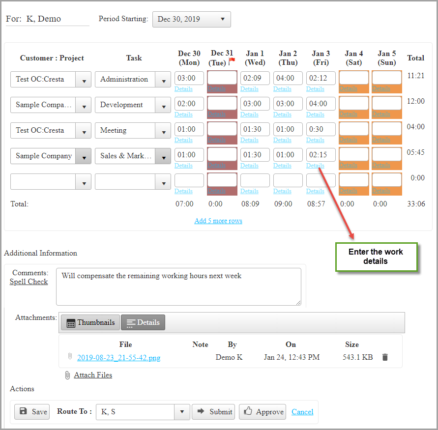 Timesheet manual entry